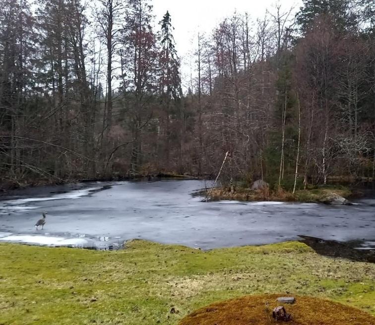 Gaeststuga I Vacker Natur, Bastu, Bubbelpool Sommartid Och Gratis Parkering Naera Ulricehamn Och Lassalyckan, Guesthouse With Nice View With Sauna And Free Parking Close To Dalsjoefors And Fishing Borås Eksteriør billede